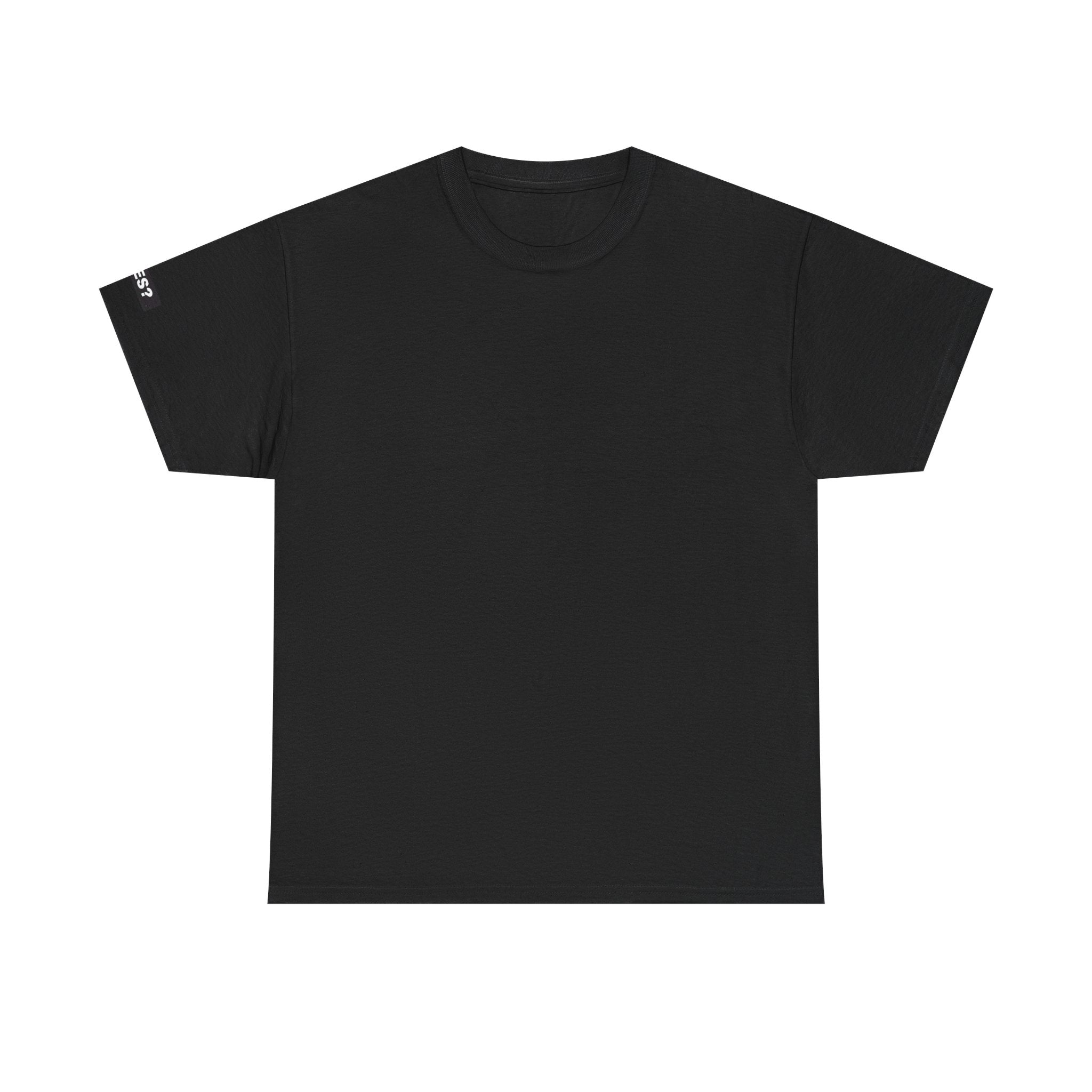 DYES? T-Shirt [Secure Your Load Edition]