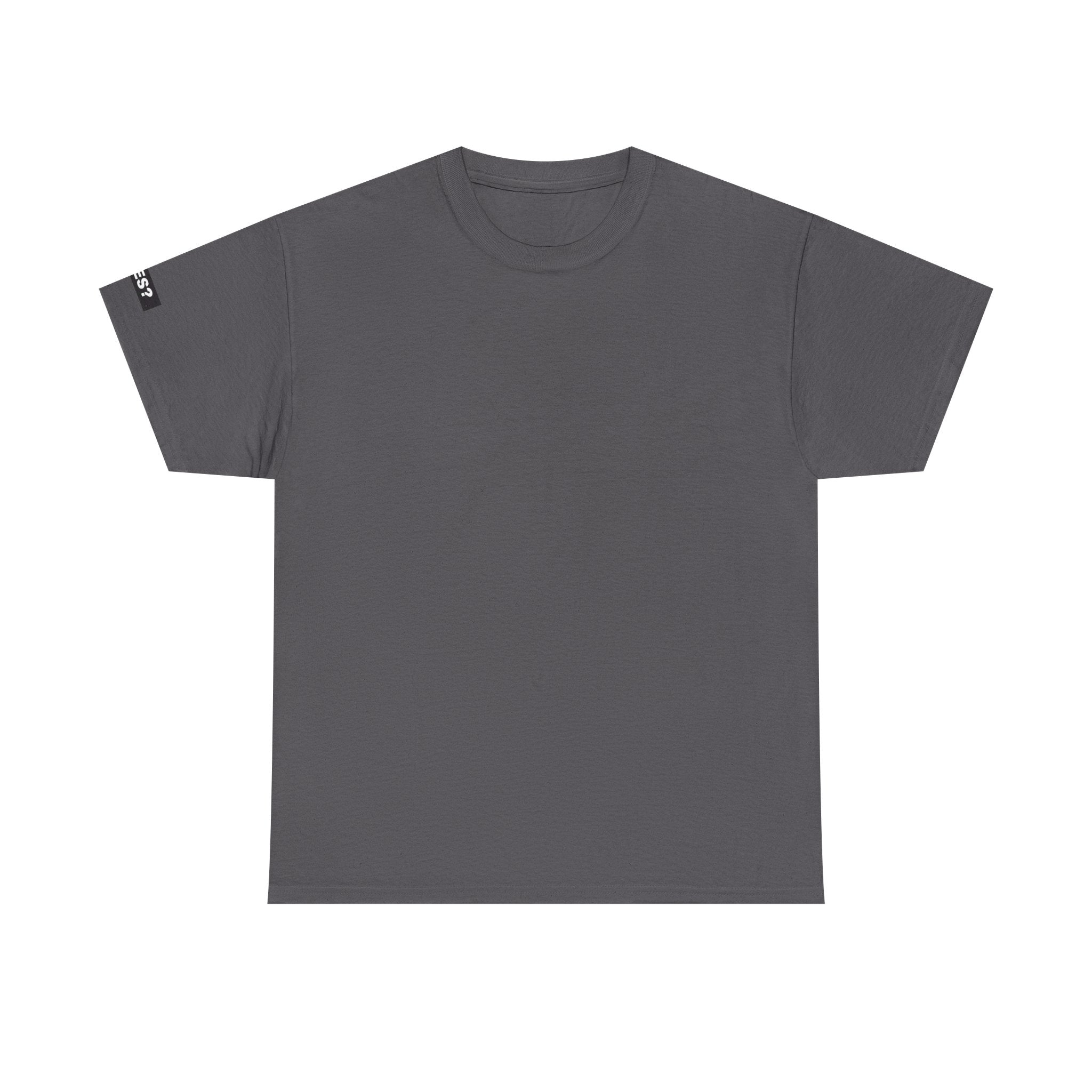 DYES? T-Shirt [Secure Your Load Edition]